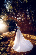 Follow the Light