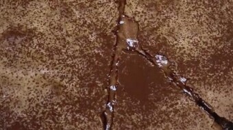 Foodbook #1208 chocolate pie
