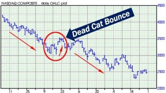 What is a "Dead cat bounce"?