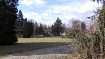 Cool but pleasant. Good conditions for long walks - My Actifit Report Card: February 2 2025
