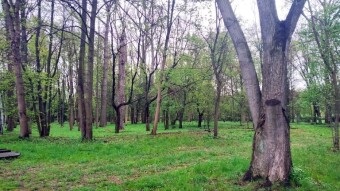 Today from the morning rainy and very humid, but very positive - My Actifit Report Card: April 18 2025