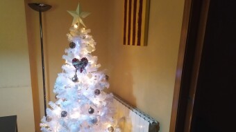 Christmas tree still in the living room 🎄
