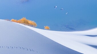 Where Desert Meets Water: The Journey Between Two Worlds