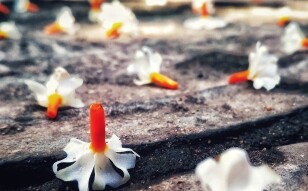 An Inkling # A short poem