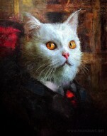 Señor Tibbles - The Most Interesting Cat in the World