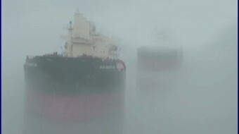Fog