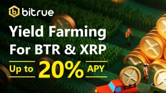 Bitrue Yield Farming at 20% APY for 7 Days - What is the actual Return of Investment?