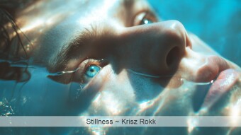 Stillness (Original Poetry)