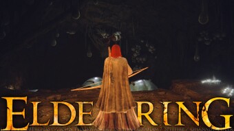 Sniping Ants - Elden Ring