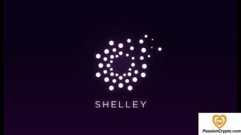Slow And Stable, But Shelley De Cardano Was Built With Care And Consistency