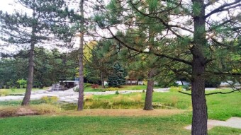 Autumn and rainy in the morning, but summer returns in the afternoon - My Actifit Report Card: September 3, 2025