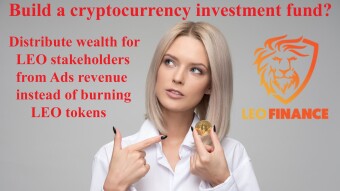 Build a cryptocurrency investment fund for LEO holders as a LEO Burning alternative