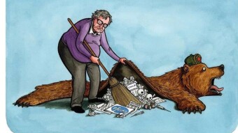 A Sneak Peek Under "The Bear Carpet"