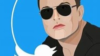 Elon 'littlewings' Musk - The Master of Troll , Freer of Bird.