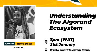Understanding the Algorand Ecosystem