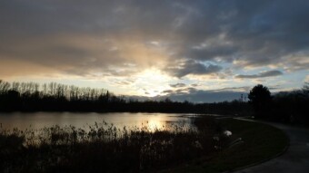 Spring atmosphere, walks and nice meetings - My Actifit Report Card: February 13 2024