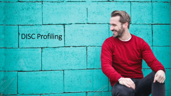 DISC profiling - Understanding the idiots I work with