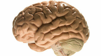 Alzheimer's Disease Genetics Explained