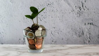 Altcoins are Growing up | Crypto Market Update 1.6