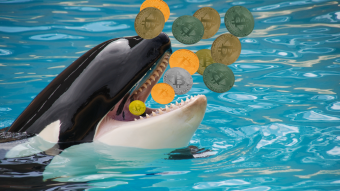 How to Deal with Crypto KILLER-Whales