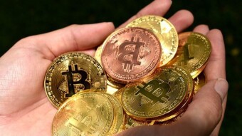 Cointiply: How to Earn More Coins by Taking Surveys?