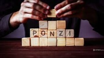 The Bleeding Wound of the Crypto World: Ponzi and the Pyramids