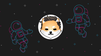 Reach the Stars: the Interstellar Crypto Dogelon Mars.
