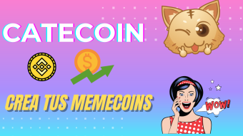 Do you know Catecoin? App to make Memecoins