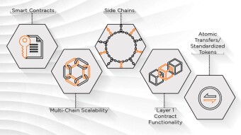 Market Niches for Blockchain Ecosystems