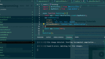 Why you need Nest Js next to Next Js in typescript projects?