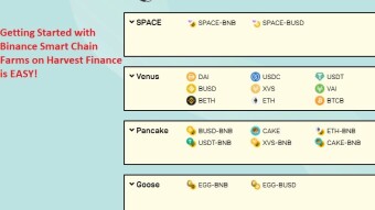 My First Small Deposit to Harvest Finance on #BSC  [How I Did it]