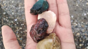 Rock Hunting by The Beach | A New Obsession of Mine!