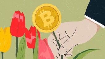 Between Bubbles and Tulips
