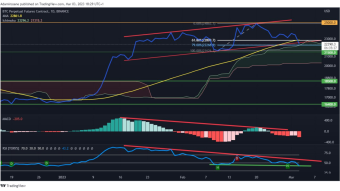 The 2 Bull & Bear Scenarios / The 3rd Consolidation Scenario / Why the Crypto Market is Down and What's Next?