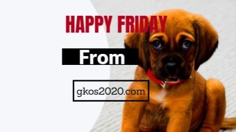 Happy Friday from gkos2020.com