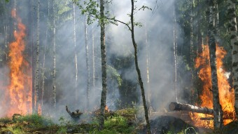UPCO2 - Climate Magic (?)