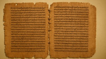 The betrayal that was obedience , the book the Vatican tried to erase