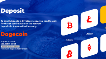 Como Fazer Investimento na Irwex de 1.000 Doges