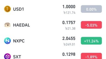 USD1 HEADAL New Coin On BINANCE