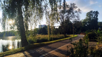 Beautiful weather, perfect for a walk in the park