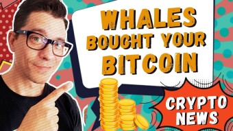 Bitcoin Whales Bought 40,000 BTC in 48 Hours Pushing Prices Up
