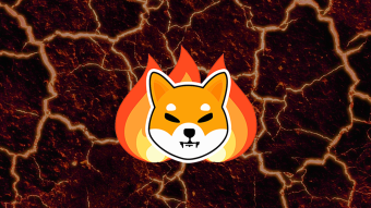 Shiba Inu Burn: What You Need To Know About Shiba Inu Burn