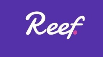 Into the Reef (A glance to Reef Finance)
