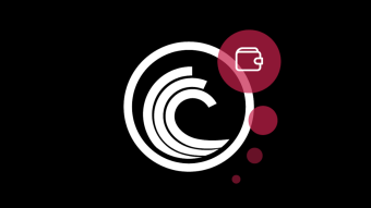 4 Best BitTorrent Wallets in 2021