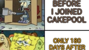 Join CakePool and let DeFiChain (DFI) bloom in the summer!