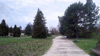A monotonous, sluggish, spring-like Tuesday - My Actifit Report Card: April 14, 2026