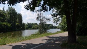 Another beautiful hot and successful day on the bike - My Actifit Report Card: June 22 2023