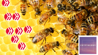 Cryptolohy Supports Hive