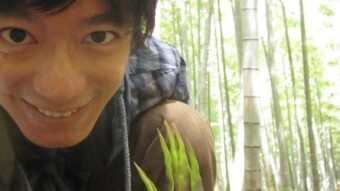 My newfound respect for bamboo