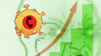 Let's understand the Corona Coin: the coin that increase the value when people die or get infected by Corona Virus!